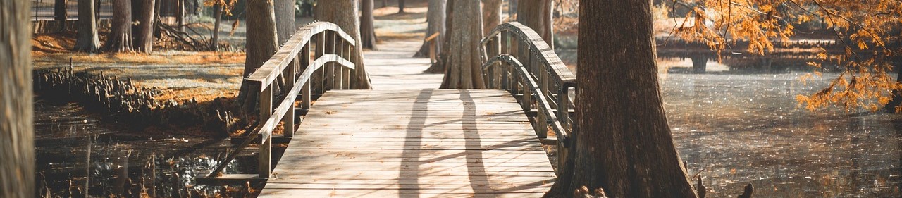 Wooden bridge at the park | Breast Cancer Car Donations