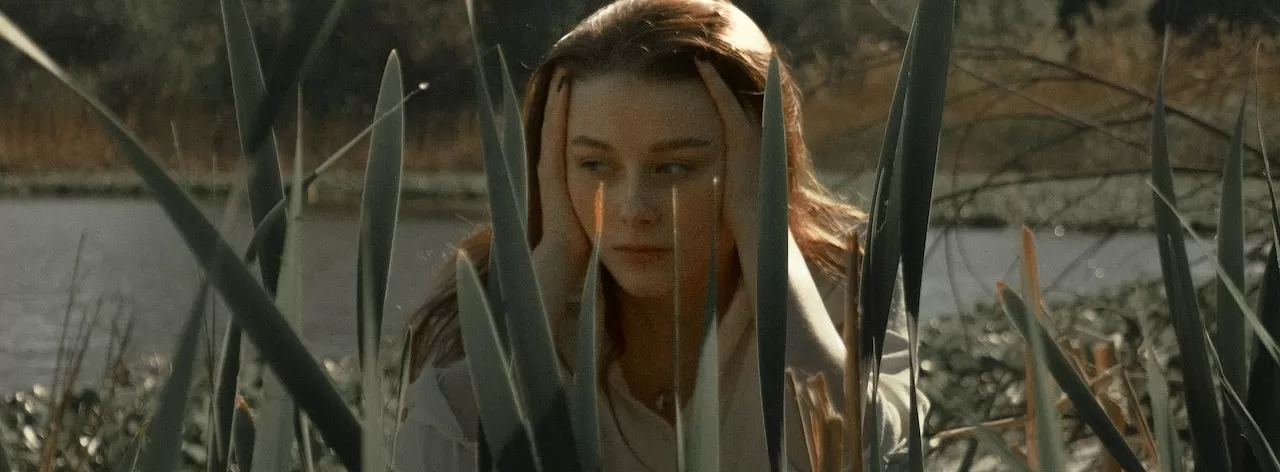 Help Save Lives with a Simple Act of Charity Today | Breast Cancer Car Donations