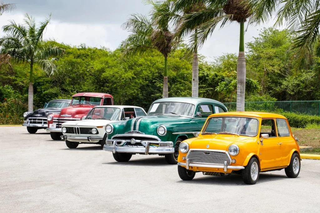A lineup of vintage cars parked outdoors surrounded by palm trees on a sunny day