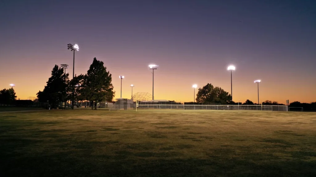 Green grass field with trees and light posts during night time