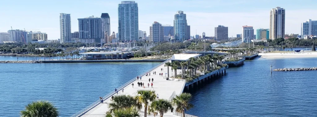 Green palm trees near body of water during daytime, St. Petersburg, Florida