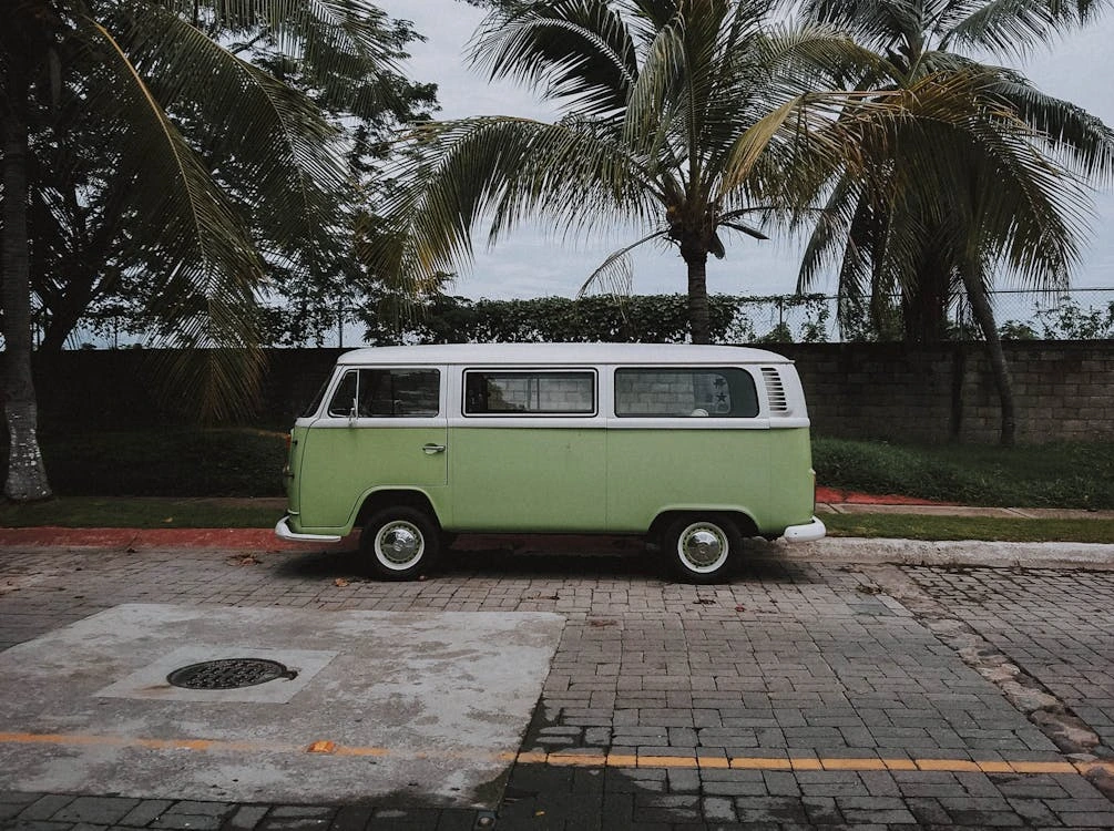 Green Volkswagen van parked outdoors under palm trees on a sunny day