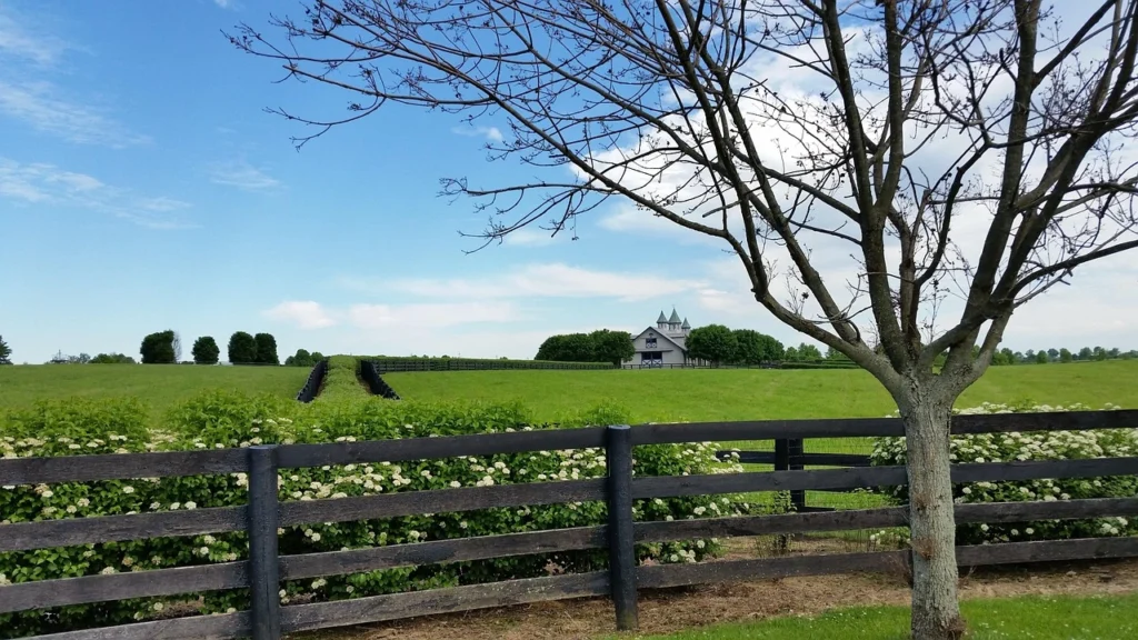 Horse farm, Kentucky, Lexington