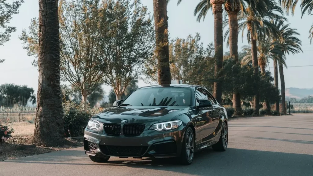 A sleek, luxurious BMW car cruising on a road lined with palm trees on a sunny day