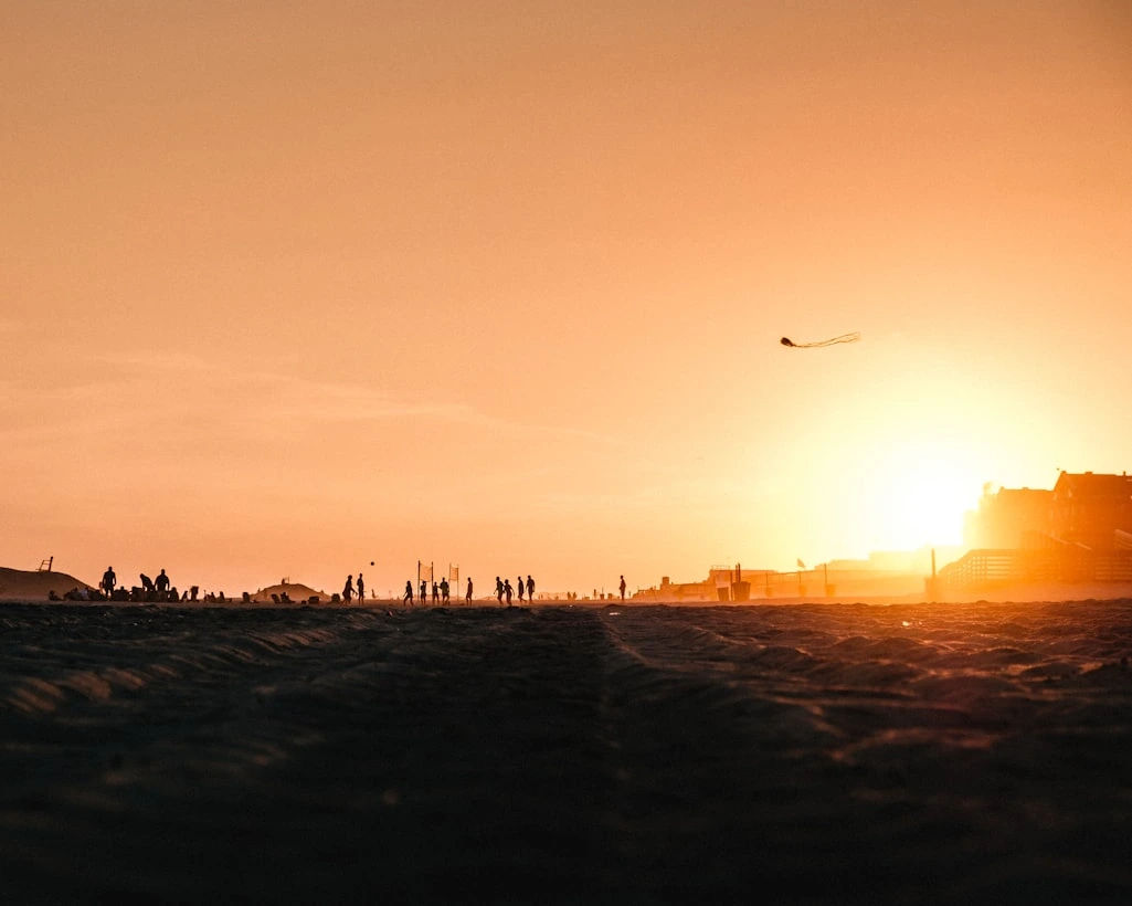Silhouette of birds flying over the city during sunset
